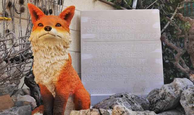 Una statua in onore di "Ninett": la volpe che  stata amata da tutta Poggiorsini